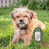 Custom Honden Penning Dog Tag_