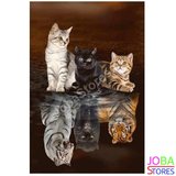 Diamond Painting Kittens-Big Cats 50x60cm_