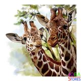 Diamond Painting Giraf 40x40cm_