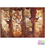 Diamond Painting Katachtigen 50x70cm_