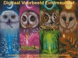 Diamond Painting Uilen 4 Seizoenen 40x30cm_