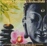 Diamond Painting Buddha 30x30cm_