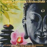 Diamond Painting Buddha 50x50cm_