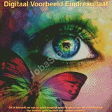 Diamond Painting Colorful Eye 40x40cm_