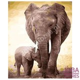 Diamond Painting Olifant met kalf 40x50cm_
