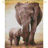 Diamond Painting Olifant met kalf 40x50cm_