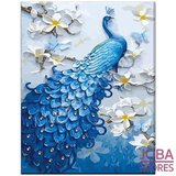 Schilderen op nummer Pauw 40x50cm_