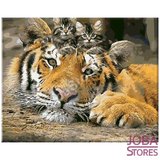 Schilderen op nummer Tijger met kittens 40x50cm_