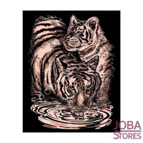 Kras Tekening Senior 