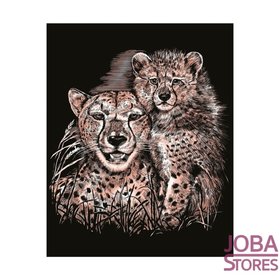 Kras Tekening Senior 