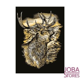 Kras Tekening Senior 