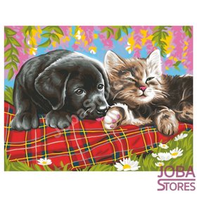 Schilderen op nummer "Sequin Art" Senior Hond & Kat