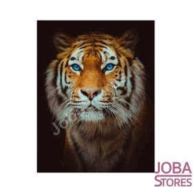 Diamond Painting Tiger 40x50cm Round (on frame)