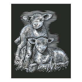 Kras Tekening Senior 