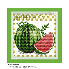 Borduur Pakket Fruit 06 11CT voorbedrukt (20x20cm)