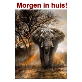 Diamond Painting Elephant in twilight 30x40cm