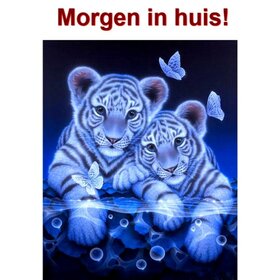 Diamond Painting White Tigers 30x40cm