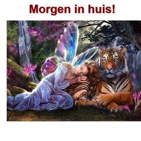 Diamond Painting Fairy with Tiger 30x40cm