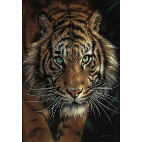 Diamond Painting Tiger Portrait 03 (size and shape of stones of your choice)
