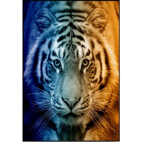 Diamond Painting Tiger Portrait 04 (size and shape of stones of your choice)