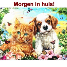 Diamond Painting Kitten and Puppy 40x50cm