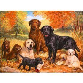 Diamond Painting Dog - Labrador 04 (size and shape of stones of your choice)
