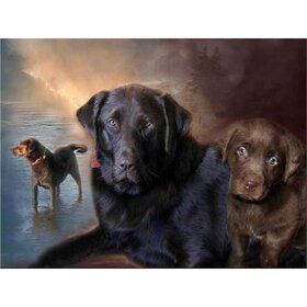 Diamond Painting Dog - Labrador 05 (size and shape of stones of your choice)