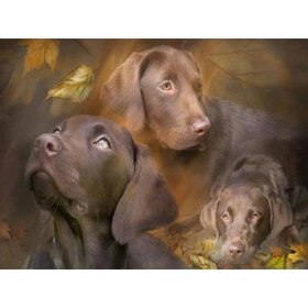 Diamond Painting Dog - Labrador 06 (size and shape of stones of your choice)