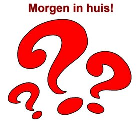 Mystery Diamond Painting 30x30cm (Themed Cats)