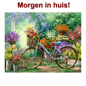 Diamond Painting Bicycle 40x30cm