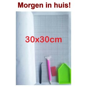 Diamond Painting Blank Canvas + toolkit 30x30cm