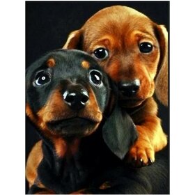 Diamond Painting Dog - Dachshund 02 (size and shape of gems of your choice)