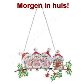 Diamond Painting Hanging Christmas Ornament birds with Santa hat (22cm)