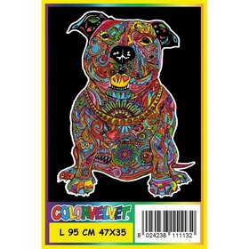 ColorVelvet Velvet coloring page large nr. L95 without markers (47x35cm)