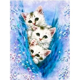 Diamond Painting Three White Kittens (size and shape of stones of your choice)
