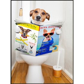 Diamond Painting Toilet Dog Jack Russell (size and shape of stones of your choice)