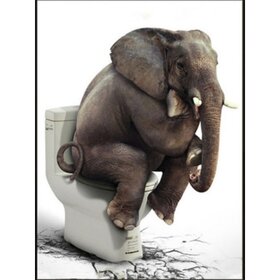 Diamond Painting Toilet Elephant (size and shape of stones of your choice)