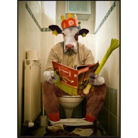 Diamond Painting Toilet Cow (size and shape of stones of your choice)