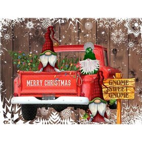 Diamond Painting Christmas Gnomes in Car
