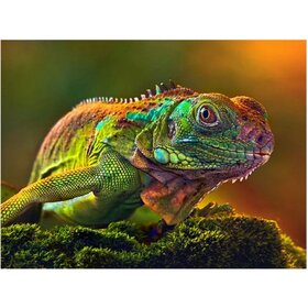 Diamond Painting Iguana