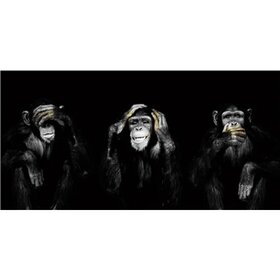 Diamond Painting Hear See Speak No Evil Monkeys