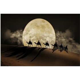 Diamond Painting Camels in the Desert