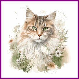 Diamond Painting Cat Maine Coon 04