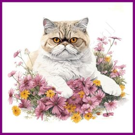 Diamond Painting Cat Exotic 03