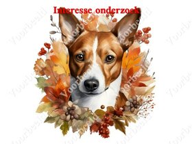 Diamond Painting interesse onderzoek