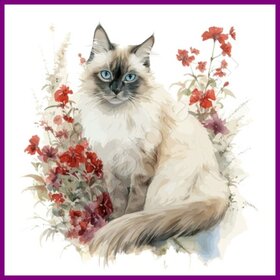 Diamond Painting Cat Sacred Burmese 01