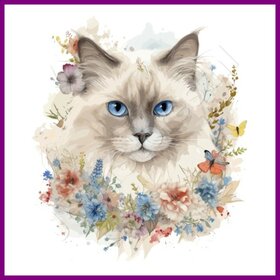 Diamond Painting Cat Sacred Burmese 04