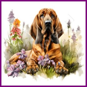 Diamond Painting Bloodhound with Flowers