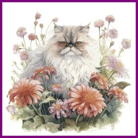 Diamond Painting Cat Persian 01