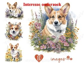 Diamond Painting interesse onderzoek